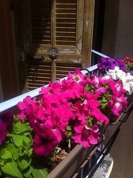 Hostel Altea Nizza Esterno foto